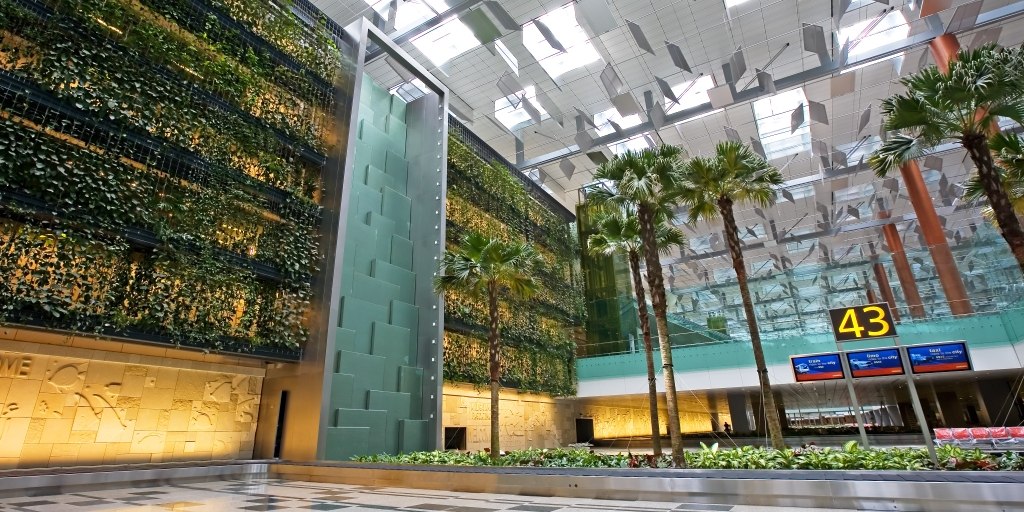 Green Wall Art Installation at Changi Airport T3 Departure Hall